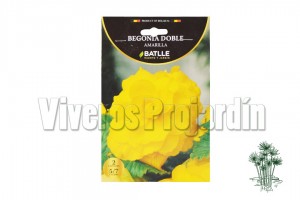 Begonia DOble Amarilla