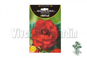 Begonia Doble Roja Oscura