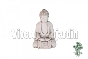 Buda Revata Blanco