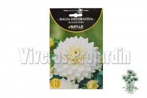 Dalia Decorativa Blanco Puro