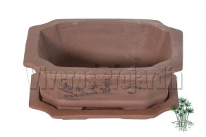 Tiesto Bonsai Rectangular 2
